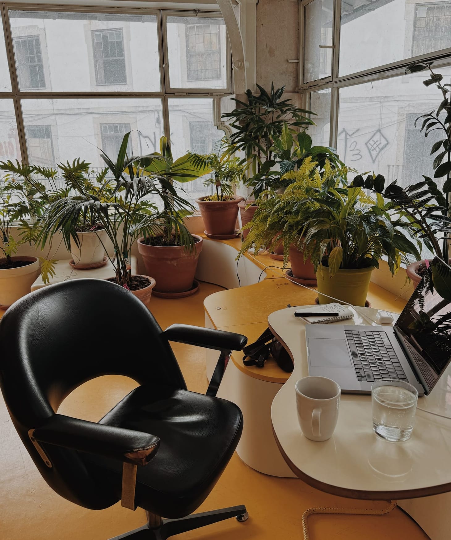 Week 4: Plant based office
